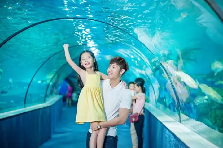 Kết Luận