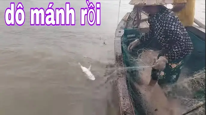 Điềm Báo Về Tình Duyên Và Gia Đạo Khi Mơ Thấy Kéo Lưới Bắt Nhiều Cá