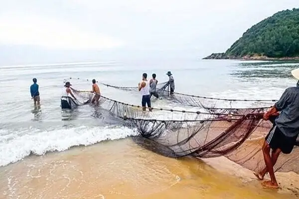 Mơ Thấy Kéo Lưới Bắt Được Nhiều Cá: Giải Mã Điềm Báo