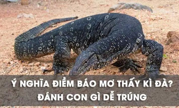 Giải Mã Giấc Mơ Kỳ Đà