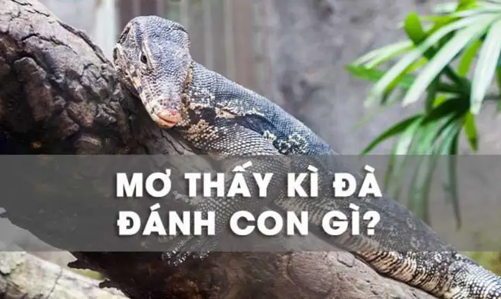 Giải Mã Giấc Mơ Thấy Ăn Thịt Kỳ Đà