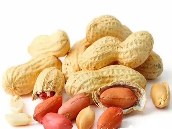 Mơ Thấy Lạc Rang Đánh Con Gì? Giải Mã Giấc Mơ & Con Số May Mắn
