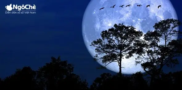 Mơ Thấy Trăng Có Ý Nghĩa Gì? Mơ Thấy Trăng Có Ý Nghĩa Gì?