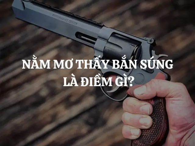Nằm Mơ Thấy Bắn Súng Là Điềm Báo Gì? Giải Mã Chi Tiết Từng Trường ...