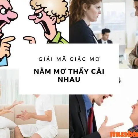 Cảm Xúc Khi Chửi Trong Mơ