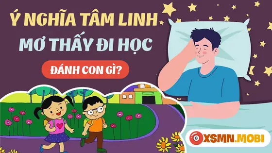 Một Số Giấc Chiêm Bao Thấy Đi Học Khác