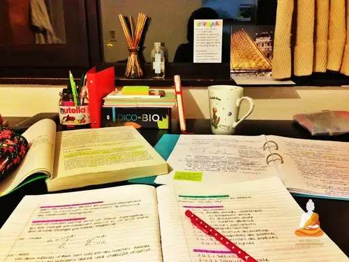 Mơ Thấy Đi Học Nước Ngoài, Du Học