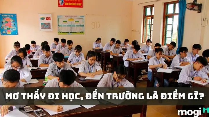 Giải Mã Giấc Mơ Thấy Đi Học: Điềm Báo Gì? Con Số May Mắn Liên Quan