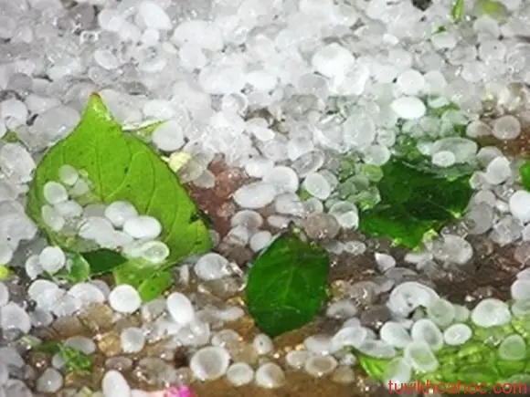 Mơ Thấy Mưa Đá: Chịu Tổn Thất Và Gặp Họa Tai –