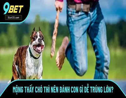 Mơ Thấy Múa Hát Đánh Con Gì? Giải Mã Giấc Mơ & Con Số May Mắn