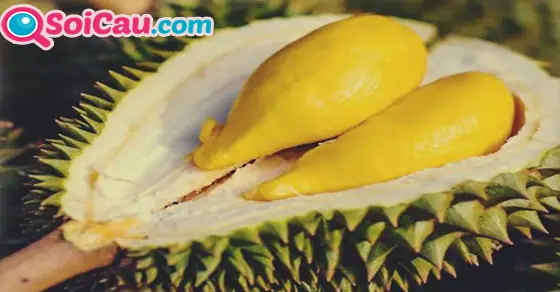 Mơ Thấy Quả Sầu Riêng Thì Đánh Đề Con Gì