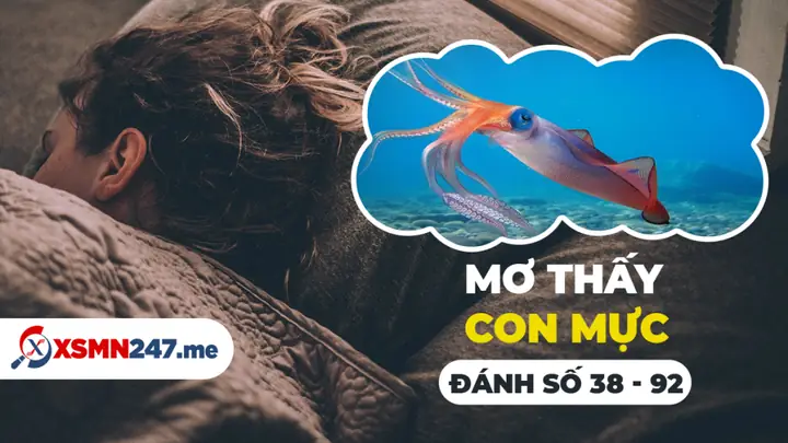 Ngủ Mơ Thấy Con Mực Là Điềm Gì?