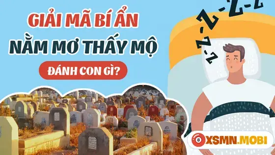 Trạng Thái Cuộc Sống Hiện Tại