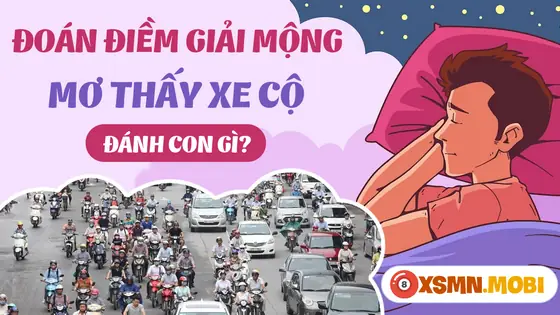 Những Giấc Chiêm Bao Về Các Loại Xe Khác