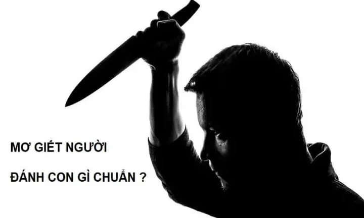Mơ Thấy Người Khác Giết Người Là Điềm Gì? Giải Mã Giấc Mơ Chi Tiết Và Chính Xác