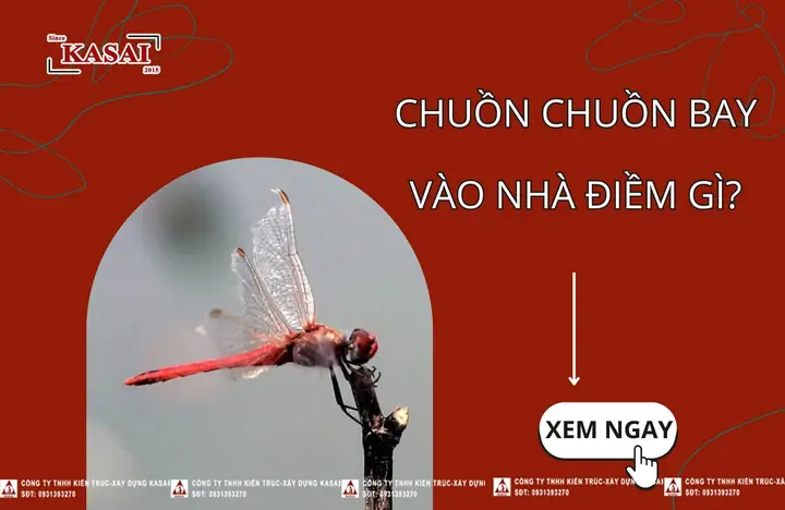 [giải Nghĩa] Chuồn Chuồn Bay Vào Nhà Điềm Gì? Số Mấy?