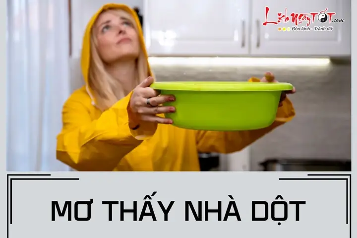 Mơ Thấy Nhà Dột: Giấc Mơ Báo Hiệu Tài Lộc Hay Cảnh Báo Tiểu Nhân?