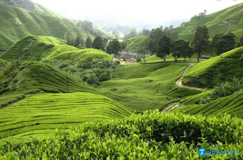 Mơ Thấy Núi Đánh Lô Đề Gì?