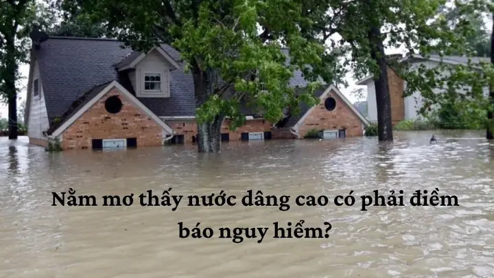 Mơ Thấy Nước Lũ Dâng Cao Điềm Báo Gì? Giải Mã Từ Góc Độ Khoa Học & Văn Hóa