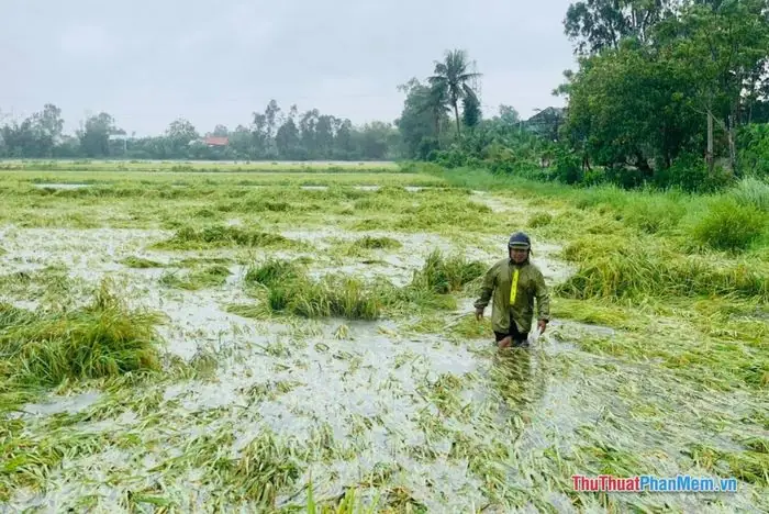 Mơ Thấy Nước Ngập