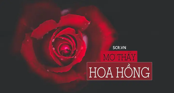Nằm Mơ Thấy Hái Đu Đủ