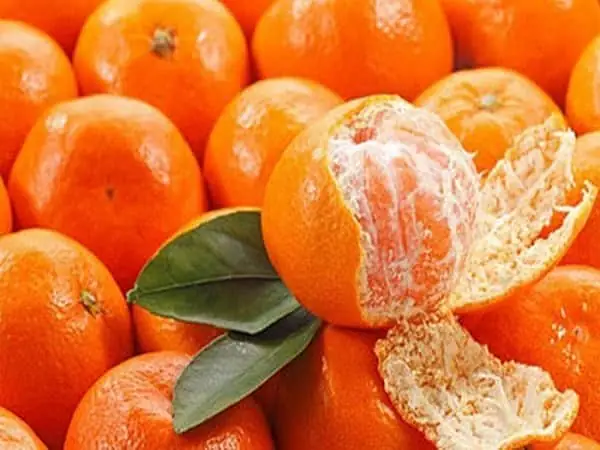 Mơ Thấy Quả Quýt Đánh Con Gì Mơ Thấy Quả Quýt Đánh Con Gì