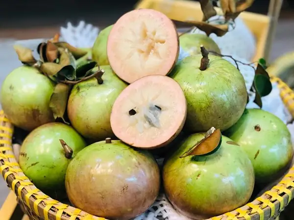 Chiêm Bao Thấy Bóp Nát Quả Vú Sữa
