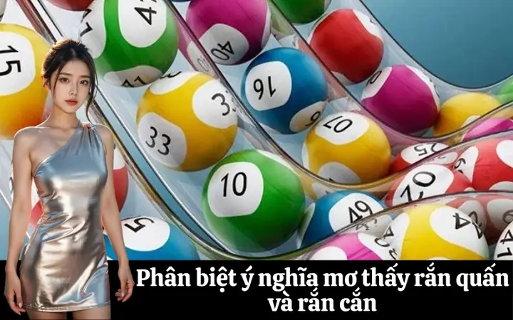 Phân Biệt Ý Nghĩa Mơ Thấy Rắn Quấn Và Rắn Cắn