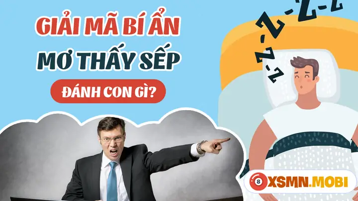 Mơ Thấy Sếp Đánh Con Gì? - Giải Mã Chiêm Bao Thấy Sếp