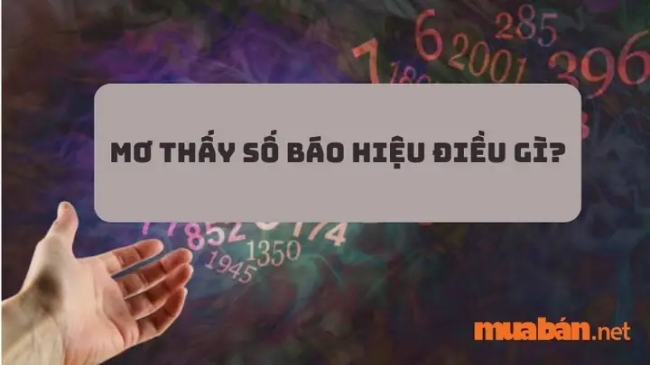 Mơ Thấy Con Số Báo Hiệu Điều Gì? Liệu Nó Có Mang Lại May Mắn ...
