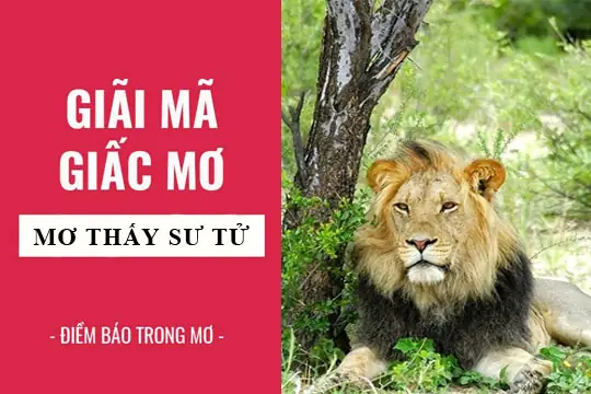 Giải Mã Giấc Mơ: Nằm Mơ Thấy Sư Tử Điềm Báo Gì, Lành Hay Dữ? Con ...