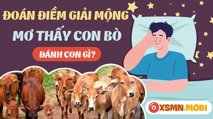 Mơ Thấy Bò Đánh Con Gì? - Giải Mã Chiêm Bao Thấy Con Bò