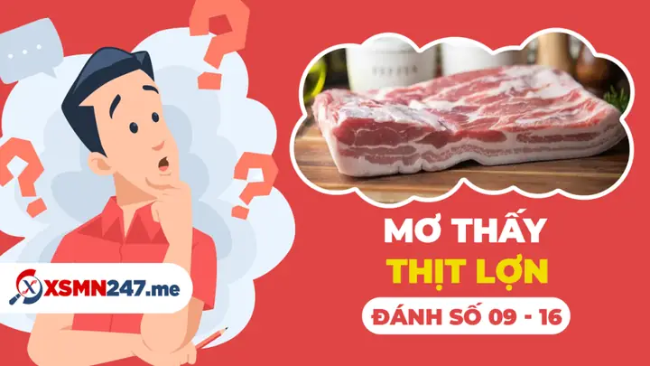 Nằm Mơ Thấy Thịt Heo Đánh Con Gì? Nằm Mơ Thấy Thịt Heo Đánh Con Gì?