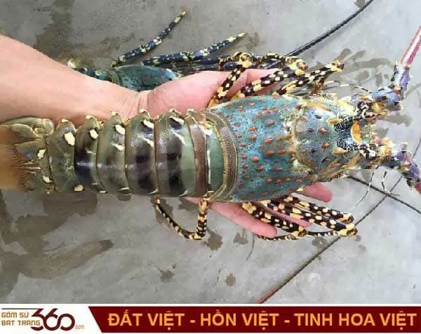 Nằm Mơ Thấy Bắt Được Nhiều Tôm