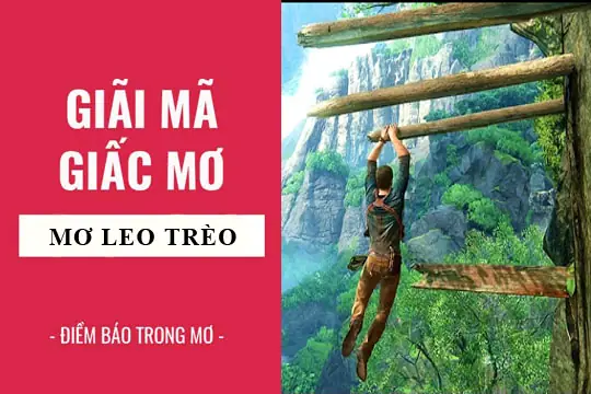 Giải Mã Giấc Mơ: Nằm Mơ Thấy Leo Trèo, Leo Cây Điềm Báo Gì, Lành ...