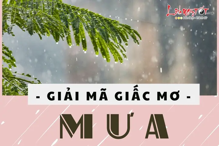 Mơ Thấy Mưa Liệu Có May Mắn, Tài Lộc Có Thịnh Vượng Hơn Trước?