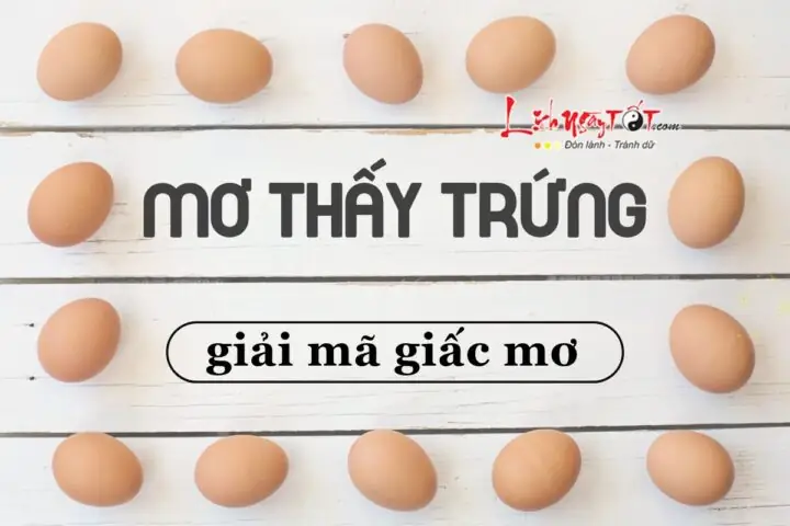 Giải Mã Ý Nghĩa Giấc Mơ Thấy Trứng Gà Nở Thành Con