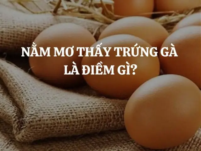 Mơ Thấy Trứng Ngỗng Là Điềm Báo Gì? Giải Mã Giấc Mơ Chi Tiết