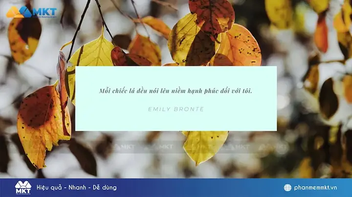 Hương Hoa Sữa Mùa Thu Hà Nội: Thơm Lừng Cả Phố, Hay Thơm Lửng Cả… Lối Về?