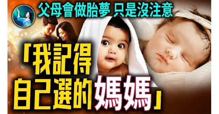 Giấc Mơ Bào Thai Kỳ Diệu, Mối Duyên Phận Thần Kỳ Giữa Con Cái Và ...