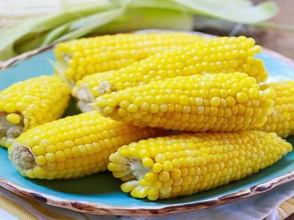 Điềm Báo Những Giấc Mơ Thấy Bắp Ngô Điềm Gì Và Đánh Con Gì ...