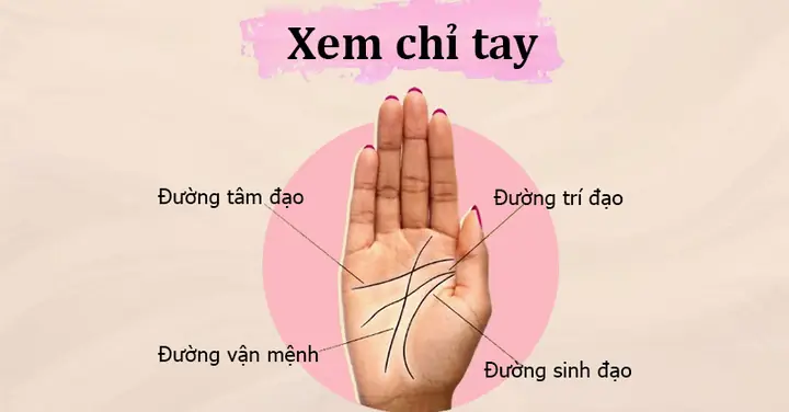 Mơ Thấy Xem Bói Chỉ Tay: Giải Mã Điềm Báo Trong Giấc Mơ Của Bạn