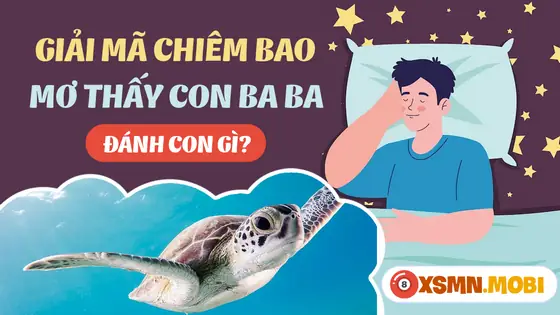 - Nằm Mơ Thấy 3 Con Ba Ba