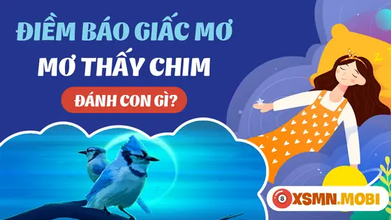 Một Số Giấc Chiêm Bao Thấy Chim Khác