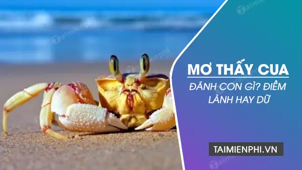 Nằm Mơ Bắt Được Cua Đánh Đề Con Gì: Giải Mã Ý Nghĩa Và Con Số