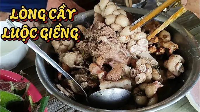 Nằm Mơ Bắt Được Nhiều Tôm Tép Đánh Con Gì? Luận Giải Chi Tiết