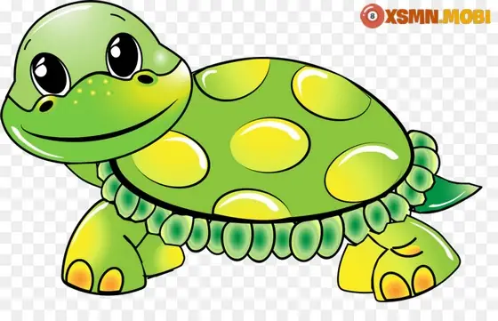 - Mơ Thấy Rùa Bò Vào Nhà