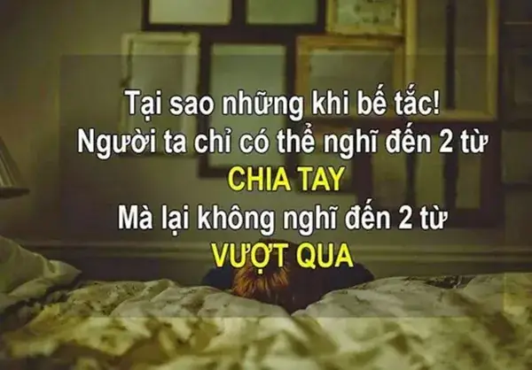 Stt Diễn Tả Cảm Giác Sự Phản Bội Và Đau Đớn