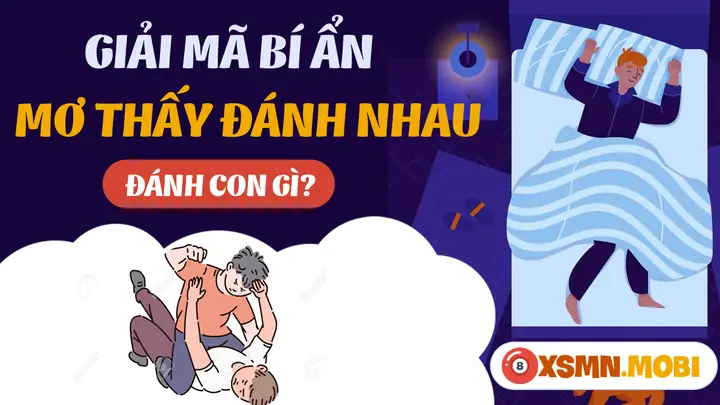 Nằm Mơ Thấy Đánh Nhau Đánh Số Gì - Là Điềm Lành Hay Gở?