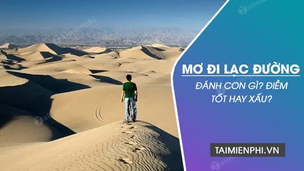 Nằm Mơ Đi Lạc Đường Đánh Con Gì? Điềm Tốt Hay Xấu?